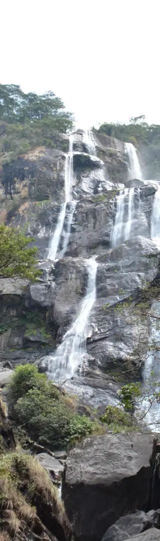 Udzungwa Mountain Nationalpark